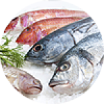 Картины на холсте по теме "Рыба и морепродукты"