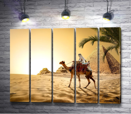 Бедуин на верблюде в пустыне на фоне пирамид