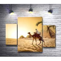 Бедуин на верблюде в пустыне на фоне пирамид