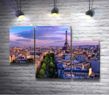 Панорама Парижа. Эйфелева башня