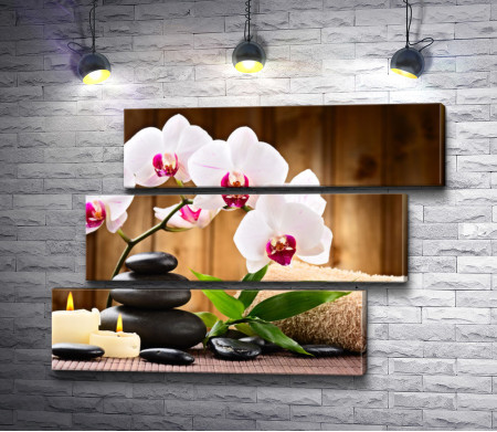 Спа композиция с орхидеями