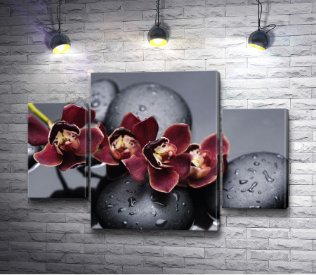 Красная орхидея с дзен-камнями на мокром черном фоне