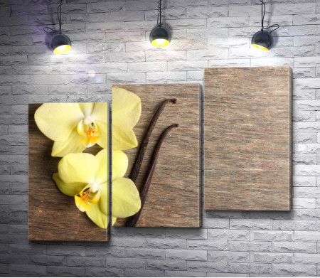 Две желтые орхидеи и стручки ванили
