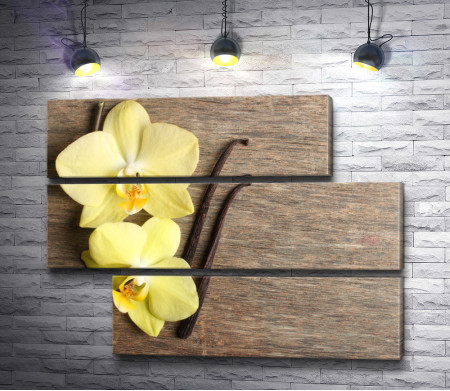 Две желтые орхидеи и стручки ванили