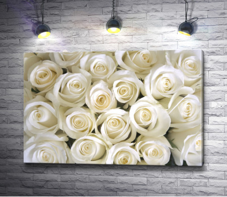 Свадебные бутоны белых роз