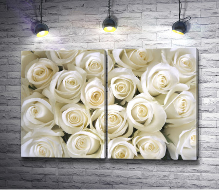 Свадебные бутоны белых роз