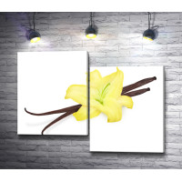 Желтая орхидея и ваниль