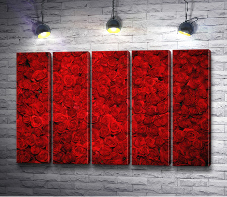 Романтические красные розы