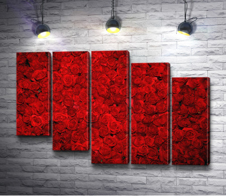 Романтические красные розы