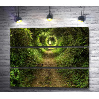 Зеленый тоннель в парке