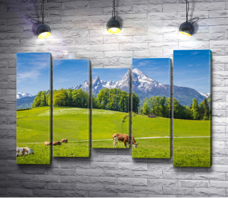 Пасущиеся коровы на лугу в Швейцарских Альпах