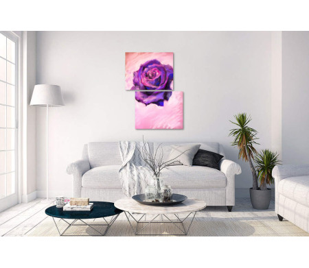 Фиолетовая роза на розовом фоне