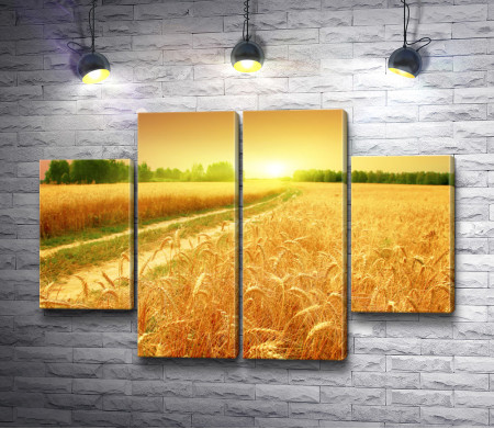 Дорога и пшеничное поле
