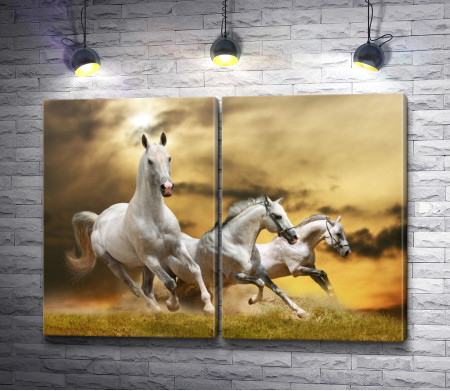 Три белых бегущих коня