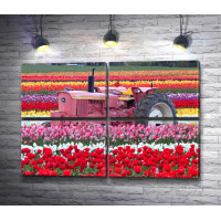 Розовый трактор в поле тюльпанов