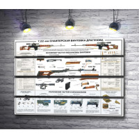 Снайперская винтовка Драгунова. Учебный плакат