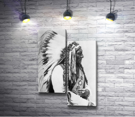 Черно-белый портрет мудрого индейца