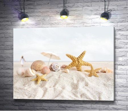 Морские ракушки на песке