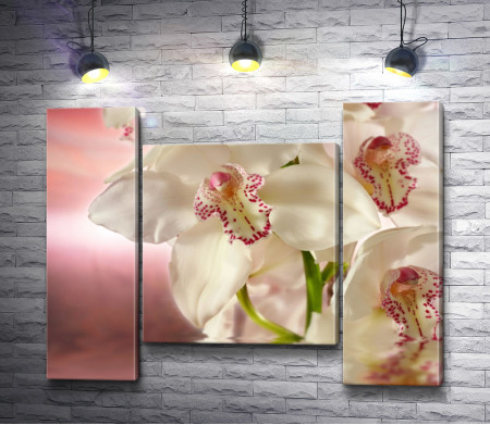 Букет белых орхидей