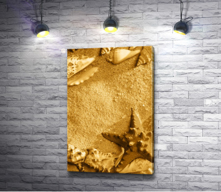 Золотой песок и морские ракушки