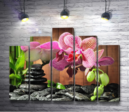 Лиловая орхидея и камни спа