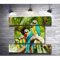 Яркие попугаи на пальме