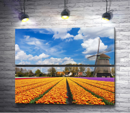 Цветочное поле и мельница в Голландии