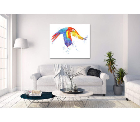 Красочный попугай Ара