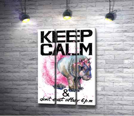 Мотивационный постер "Не ешь после шести" с носорогом в пачке