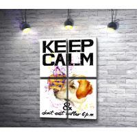 Мотивационный постер "Не ешь после шести" с собакой и пирожным