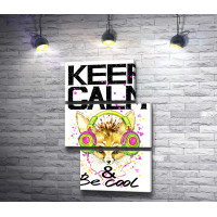 Постер "Keep Calm & be cool" с лисицей в ярких наушниках
