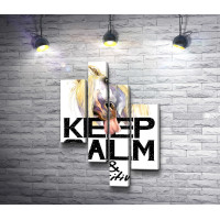 Плакат "Keep Calm & Be Positive" с лошадью, которая высунула язык