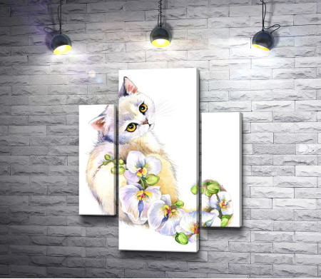Кошка с белыми орхидеями