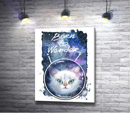 Пушистый белый котенок: "Born to wander". Плакат
