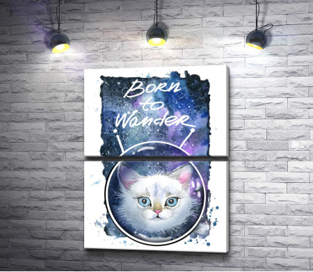 Пушистый белый котенок: "Born to wander". Плакат
