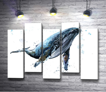 Синий кит под водой
