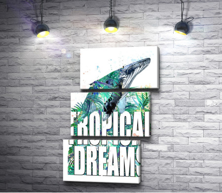 Кит, тропики и "Tropical Dreams"