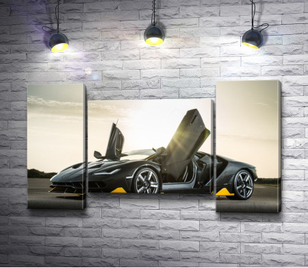 Lamborghini с откидными дверями  