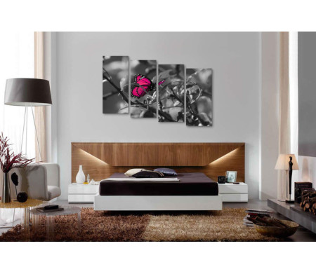 Розовая бабочка на фото в черно-белой гамме