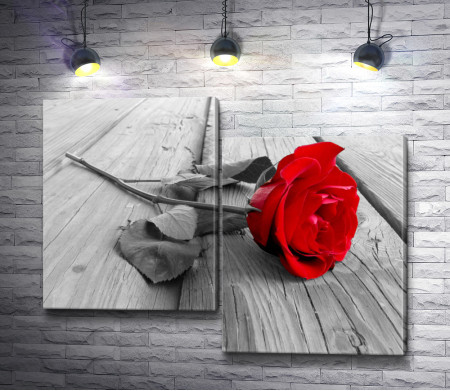 Черно-белое фото красной розы