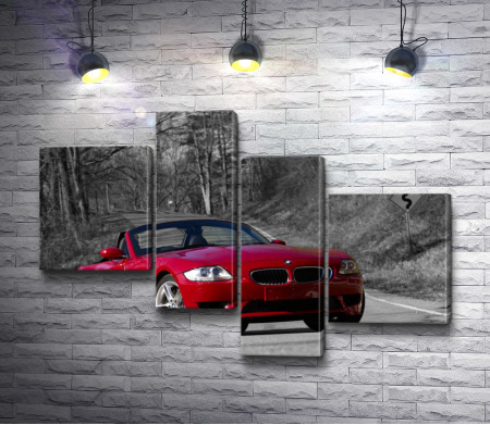 Красная BMW Z4 в черно-белом парке