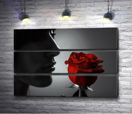 Черно-белое фото девушки с красной розой 