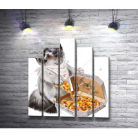 Котенок и вкусная пицца