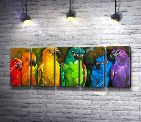 Радужные попугаи