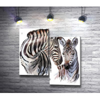 Две зебры в дикой природе