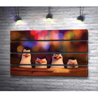 Пингвины из мультфильма "Мадагаскар"