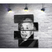 Знаменитое фото Альберта Эйнштейна,  черно-белая гамма