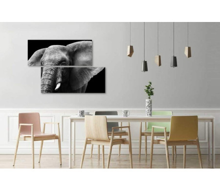 Фото слона в черно-белой гамме