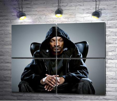 Американский рэпер Снуп Догг (Snoop Dogg)