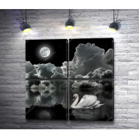 Лебедь на зеркальном озере  под ночной луной, черно-белое фото